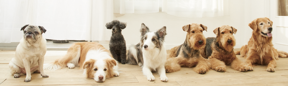 1646201576815814.png WeChatea282e7238fd7e7c6e0982cb5759f368.png