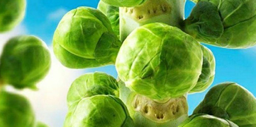 1646372887983448.jpg 意大利甘蓝籽油.jpg