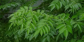 1647411355980866.jpg 3.jpg